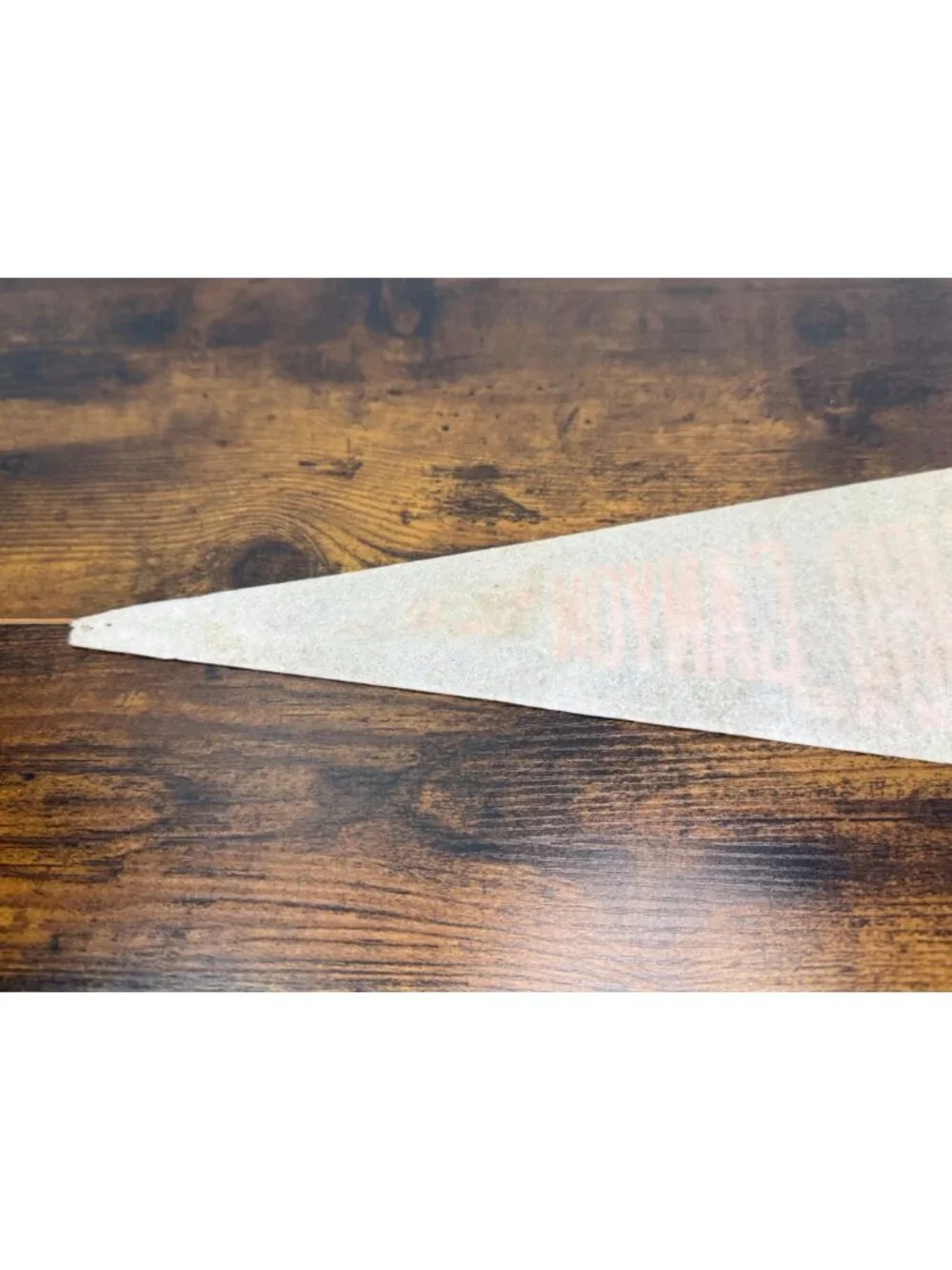 Vintage Palo Duro Canyon Texas Felt Pennant Banner 23 inches damaged tip